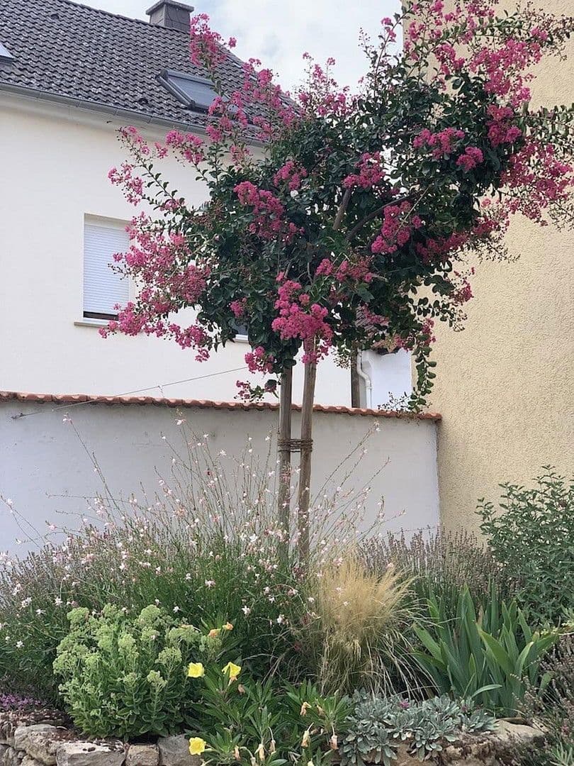 Predaj domu 211 m², pozemek 658 m², Alsheim, Porýnie-Falcko Predaj domu 211 m², pozemek 658 m², Alsheim, Porýnie-Falcko