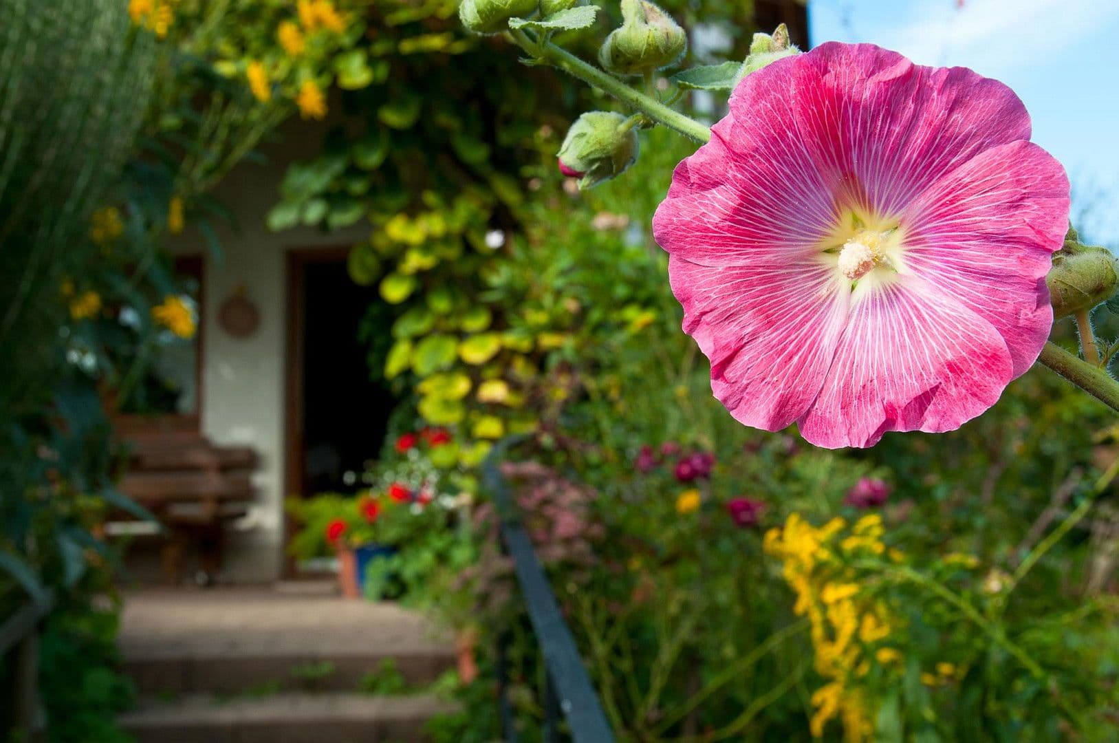 Predaj domu 296 m², pozemek 1.073 m², Freiburg, Bádensko-Wurttembersko Predaj domu 296 m², pozemek 1.073 m², Freiburg, Bádensko-Wurttembersko