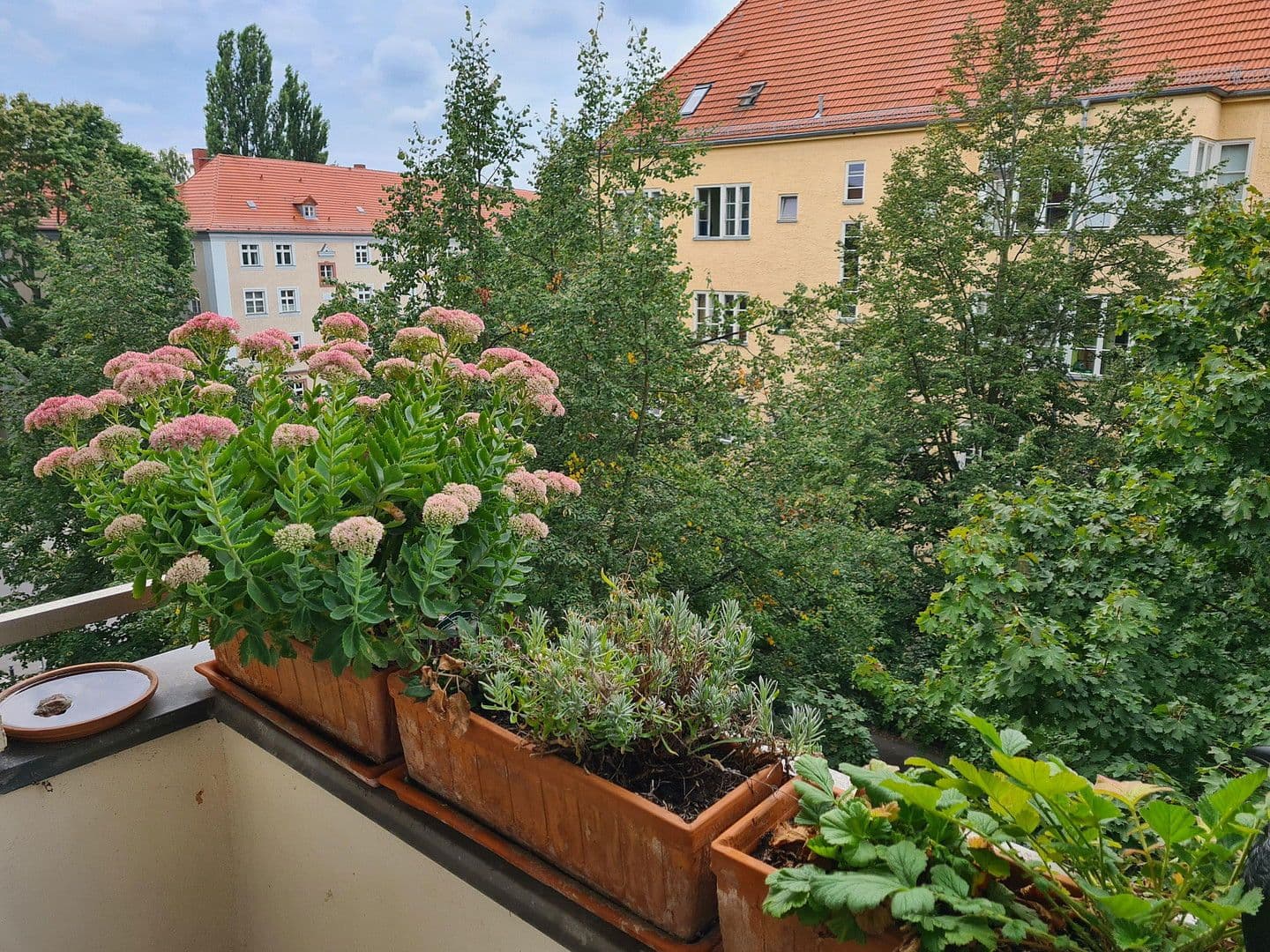 Predaj bytu 3-izbový 68 m², Vineta Str.52, Berlin-Pankow, Berlín Predaj bytu 3-izbový 68 m², Vineta Str.52, Berlin-Pankow, Berlín