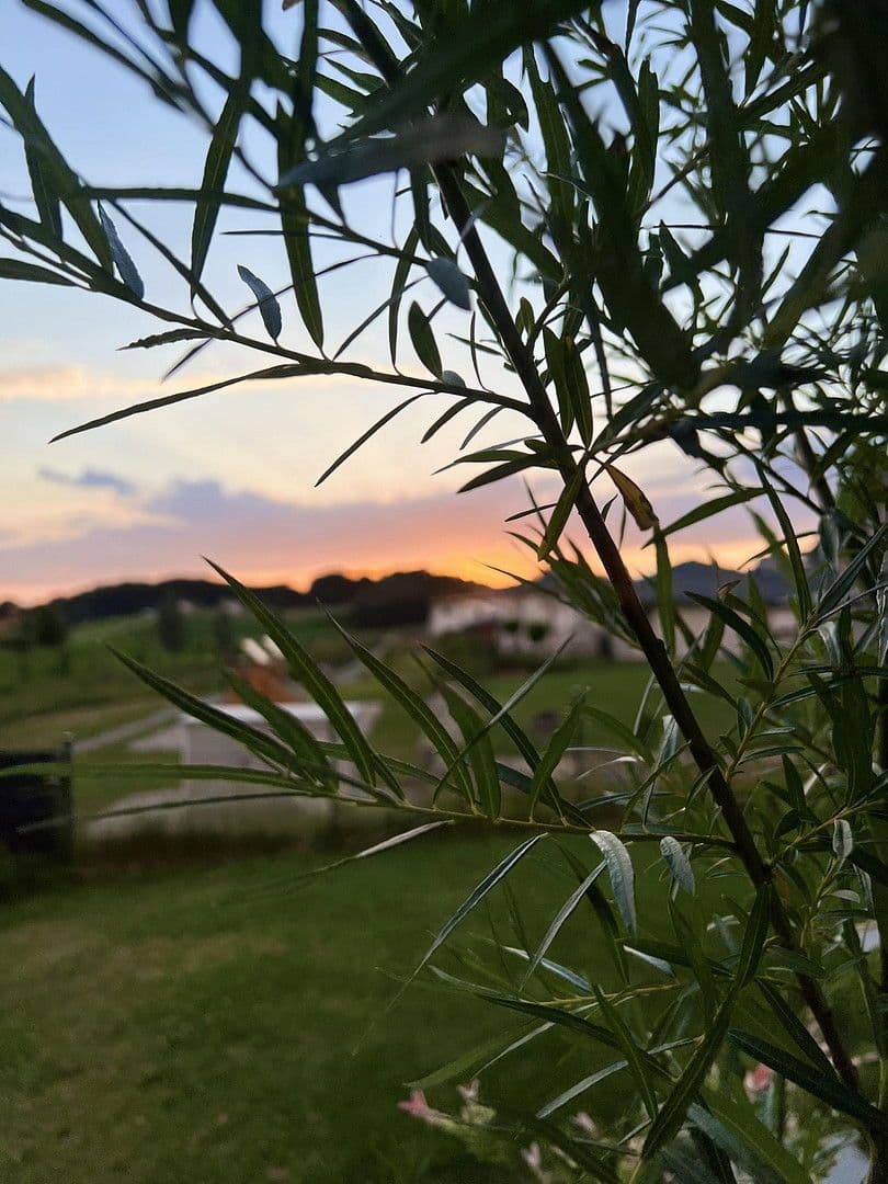 Predaj domu 152 m², pozemek 874 m², Fürstenstein, Bavorsko Predaj domu 152 m², pozemek 874 m², Fürstenstein, Bavorsko