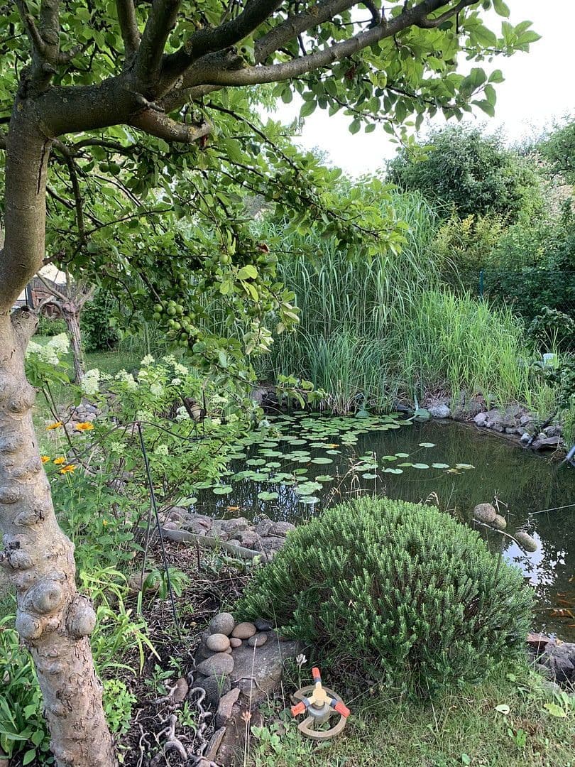 Predaj domu 131 m², pozemek 747 m², Mittenwalde, Brandenbursko Predaj domu 131 m², pozemek 747 m², Mittenwalde, Brandenbursko