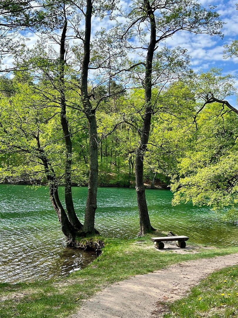 Predaj domu 90 m², pozemek 400 m², Feldberger Seenlandschaft, Meklenbursko-Predpomoransko Predaj domu 90 m², pozemek 400 m², Feldberger Seenlandschaft, Meklenbursko-Predpomoransko