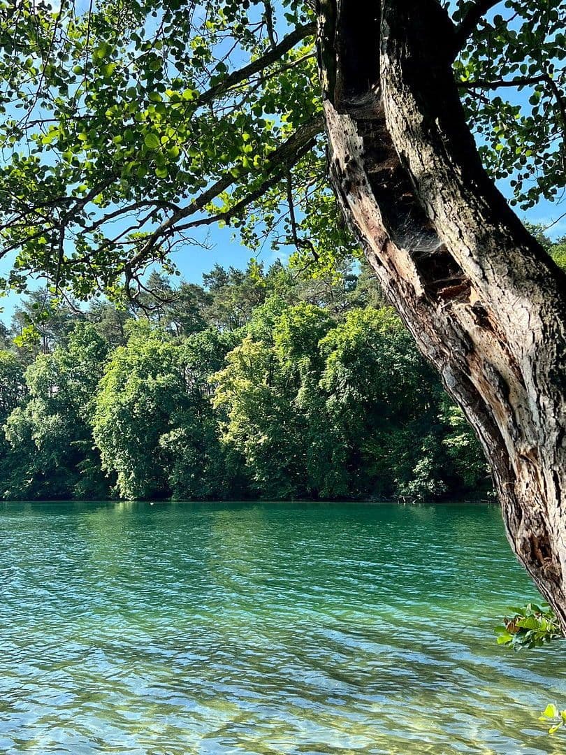 Predaj domu 90 m², pozemek 400 m², Feldberger Seenlandschaft, Meklenbursko-Predpomoransko Predaj domu 90 m², pozemek 400 m², Feldberger Seenlandschaft, Meklenbursko-Predpomoransko