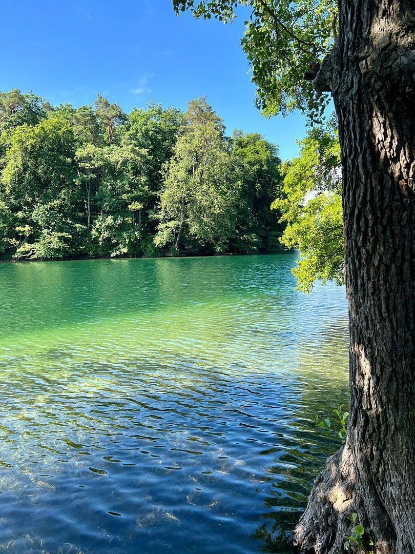 Predaj domu 90 m², pozemek 400 m², Feldberger Seenlandschaft, Meklenbursko-Predpomoransko Predaj domu 90 m², pozemek 400 m², Feldberger Seenlandschaft, Meklenbursko-Predpomoransko