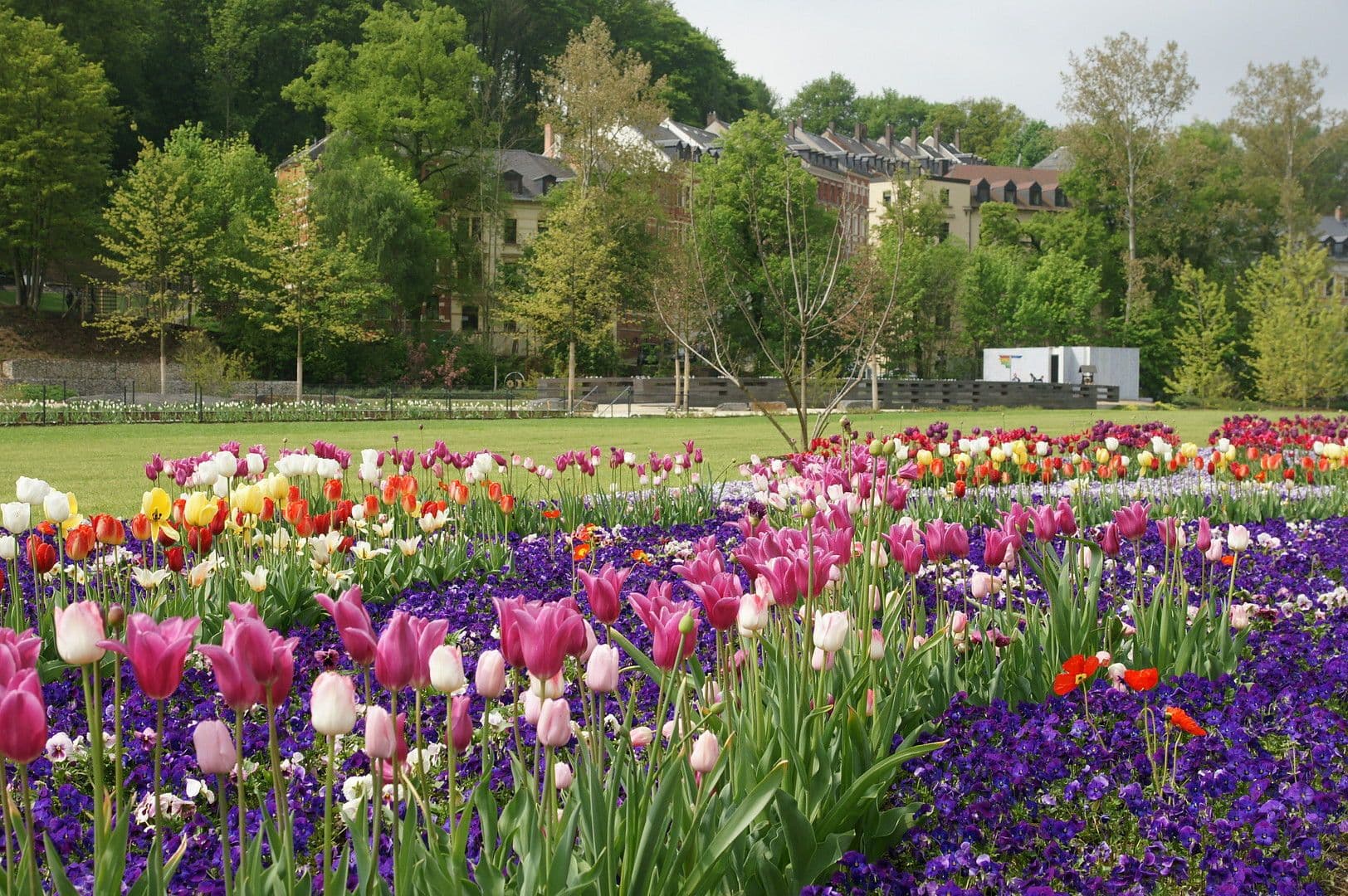 Predaj domu 368 m², pozemek 230 m², Birkenstraße 1, Reichenbach, Sasko Predaj domu 368 m², pozemek 230 m², Birkenstraße 1, Reichenbach, Sasko