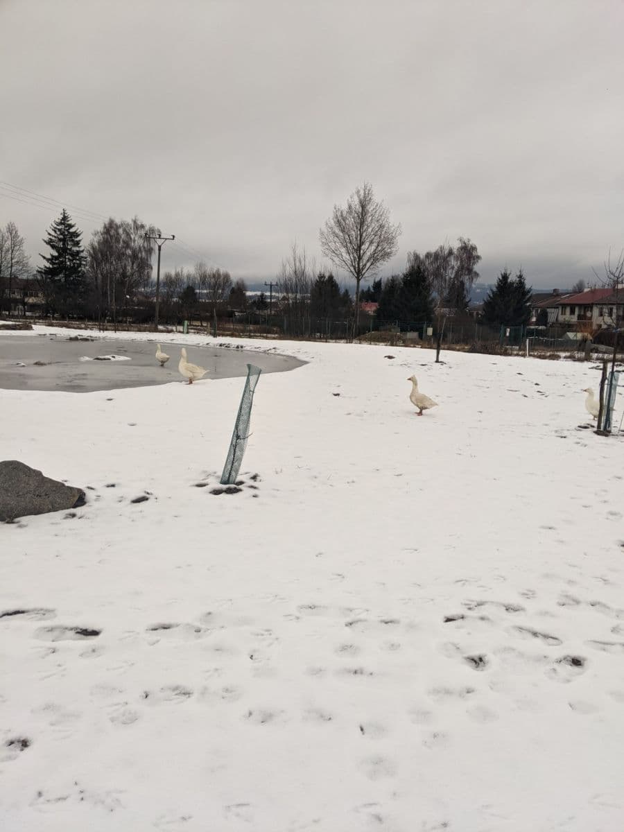 Predaj domu 195 m², pozemek 5.647 m², V sadech, Rožmitál pod Třemšínem, Středočeský kraj Predaj domu 195 m², pozemek 5.647 m², V sadech, Rožmitál pod Třemšínem, Středočeský kraj