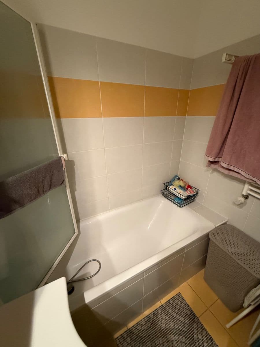 Prenájom bytu 2-izbový 56 m², Čeňka Růžičky, Brno, Jihomoravský kraj Prenájom bytu 2-izbový 56 m², Čeňka Růžičky, Brno, Jihomoravský kraj