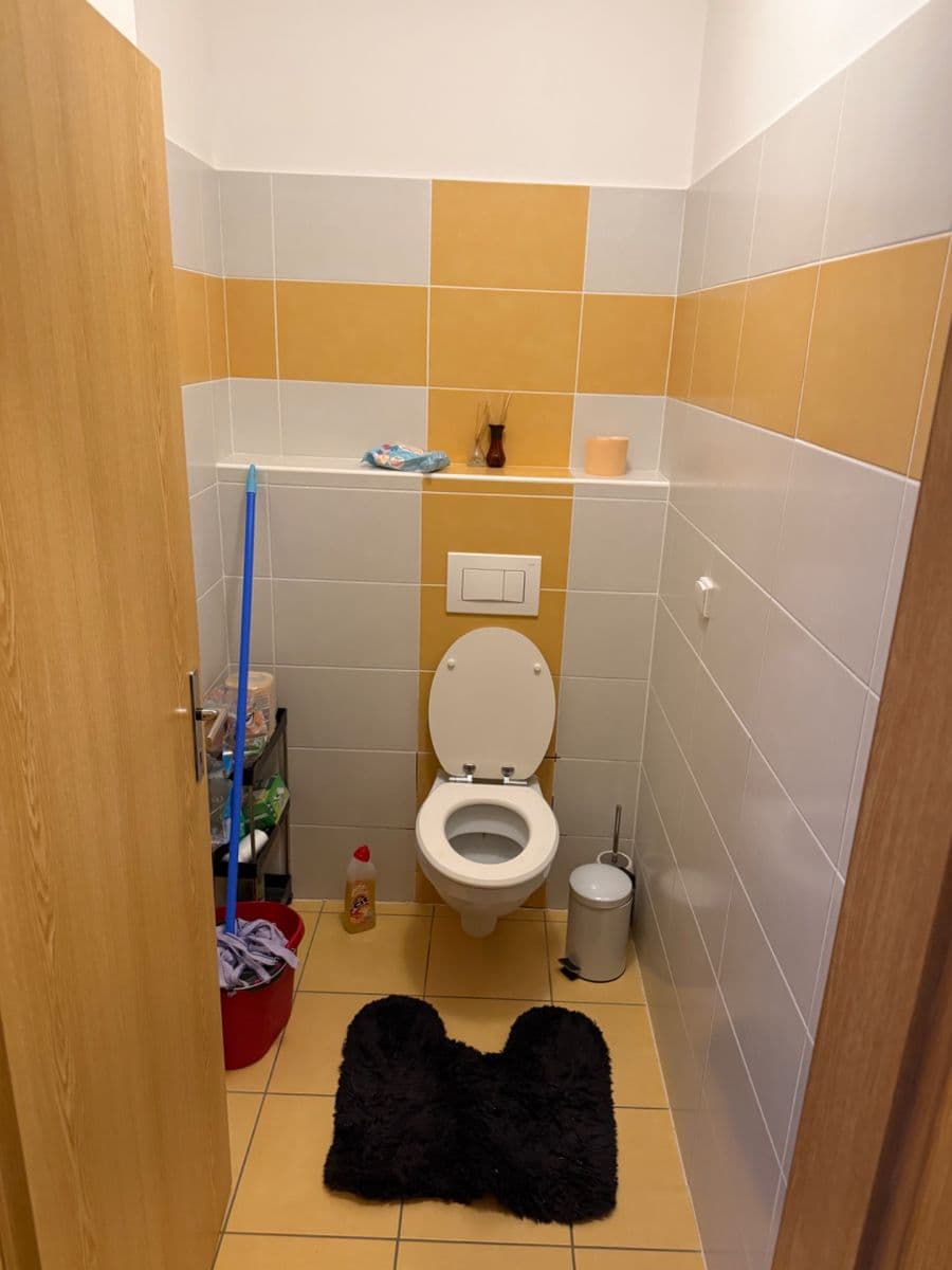 Prenájom bytu 2-izbový 56 m², Čeňka Růžičky, Brno, Jihomoravský kraj Prenájom bytu 2-izbový 56 m², Čeňka Růžičky, Brno, Jihomoravský kraj