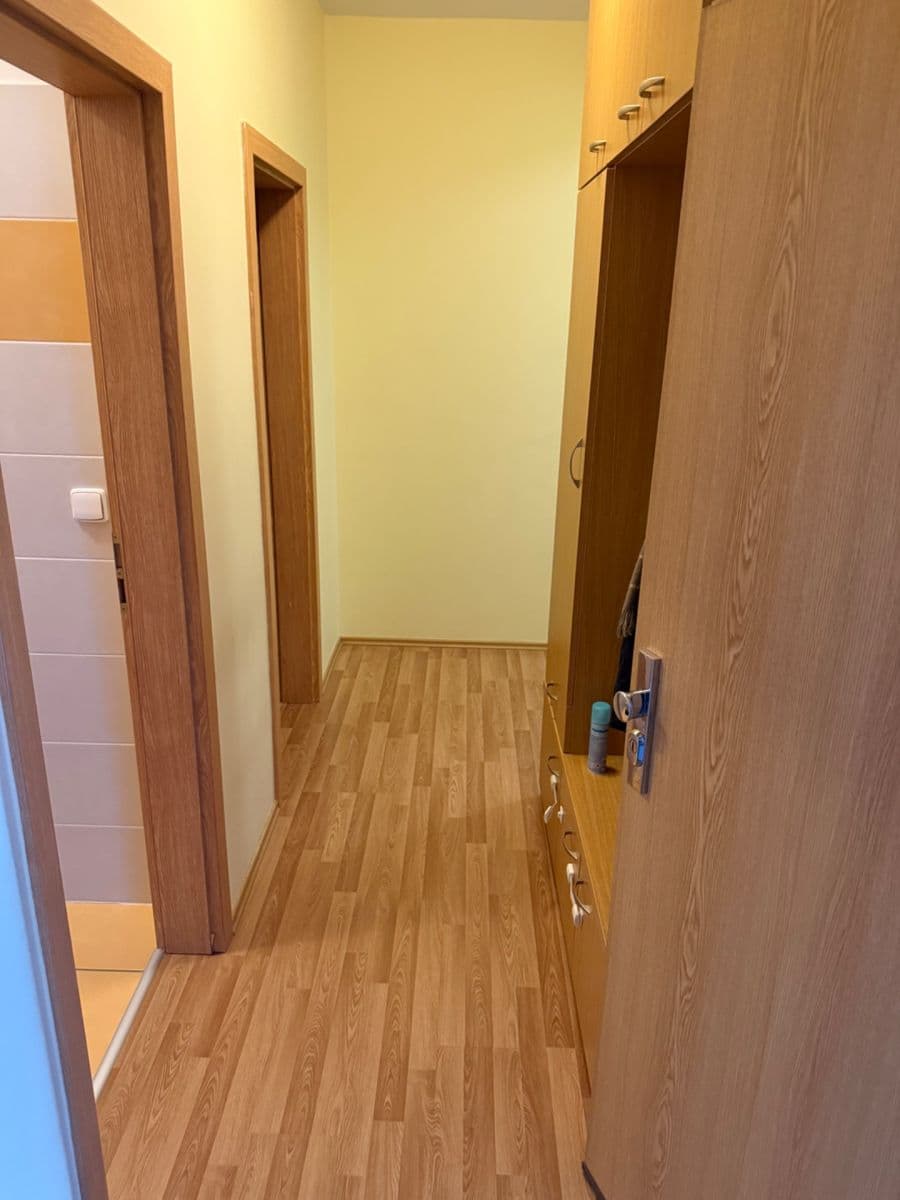 Prenájom bytu 2-izbový 56 m², Čeňka Růžičky, Brno, Jihomoravský kraj Prenájom bytu 2-izbový 56 m², Čeňka Růžičky, Brno, Jihomoravský kraj