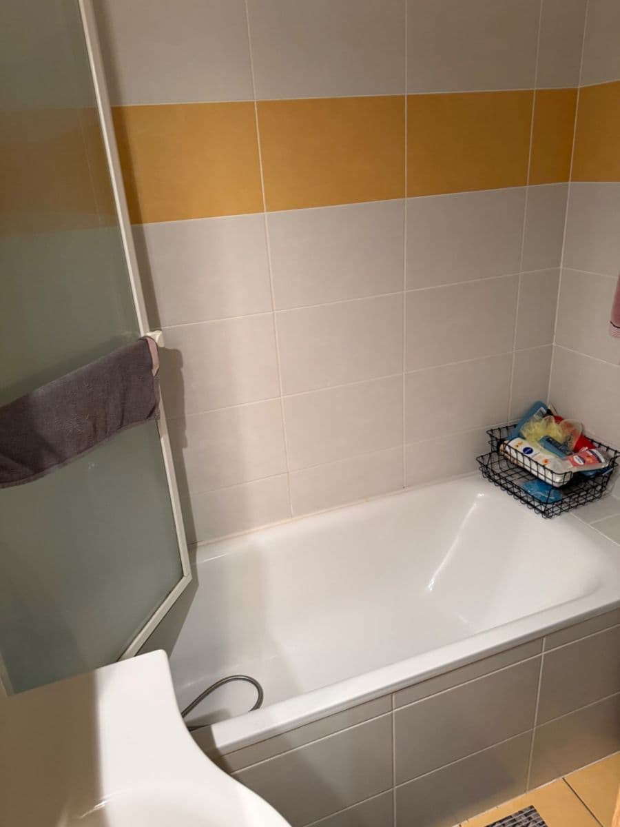 Prenájom bytu 2-izbový 56 m², Čeňka Růžičky, Brno, Jihomoravský kraj Prenájom bytu 2-izbový 56 m², Čeňka Růžičky, Brno, Jihomoravský kraj