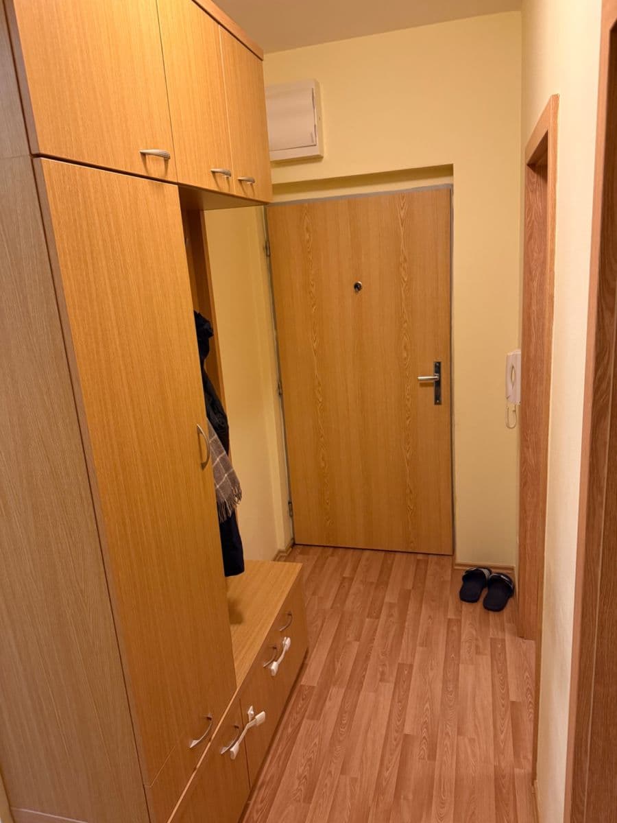 Prenájom bytu 2-izbový 56 m², Čeňka Růžičky, Brno, Jihomoravský kraj Prenájom bytu 2-izbový 56 m², Čeňka Růžičky, Brno, Jihomoravský kraj