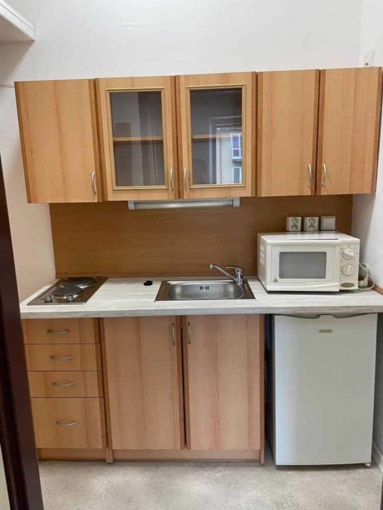 Prenájom bytu 1-izbový 17 m², Ve Struhách, Praha, Praha Prenájom bytu 1-izbový 17 m², Ve Struhách, Praha, Praha