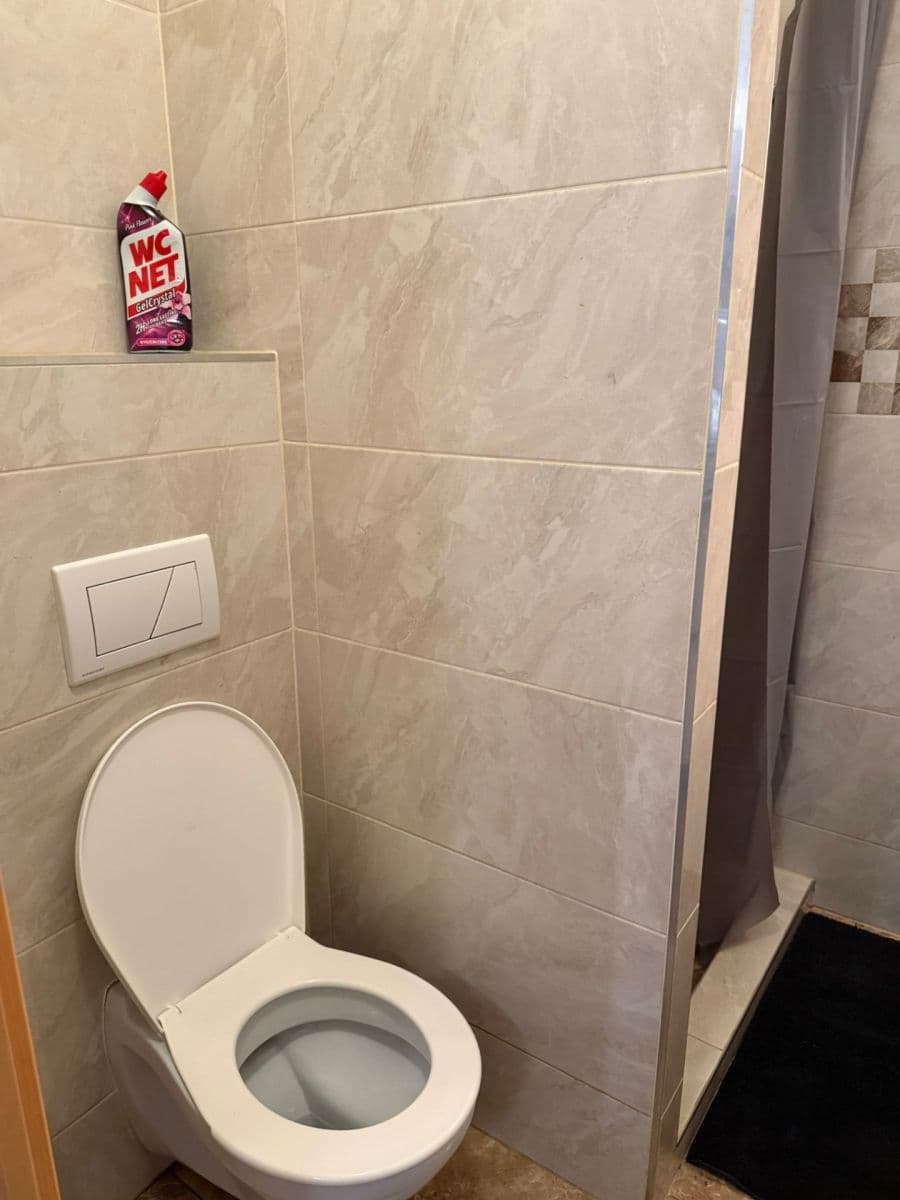 Prenájom bytu 1-izbový 36 m², Vrchlického, Praha, Praha Prenájom bytu 1-izbový 36 m², Vrchlického, Praha, Praha