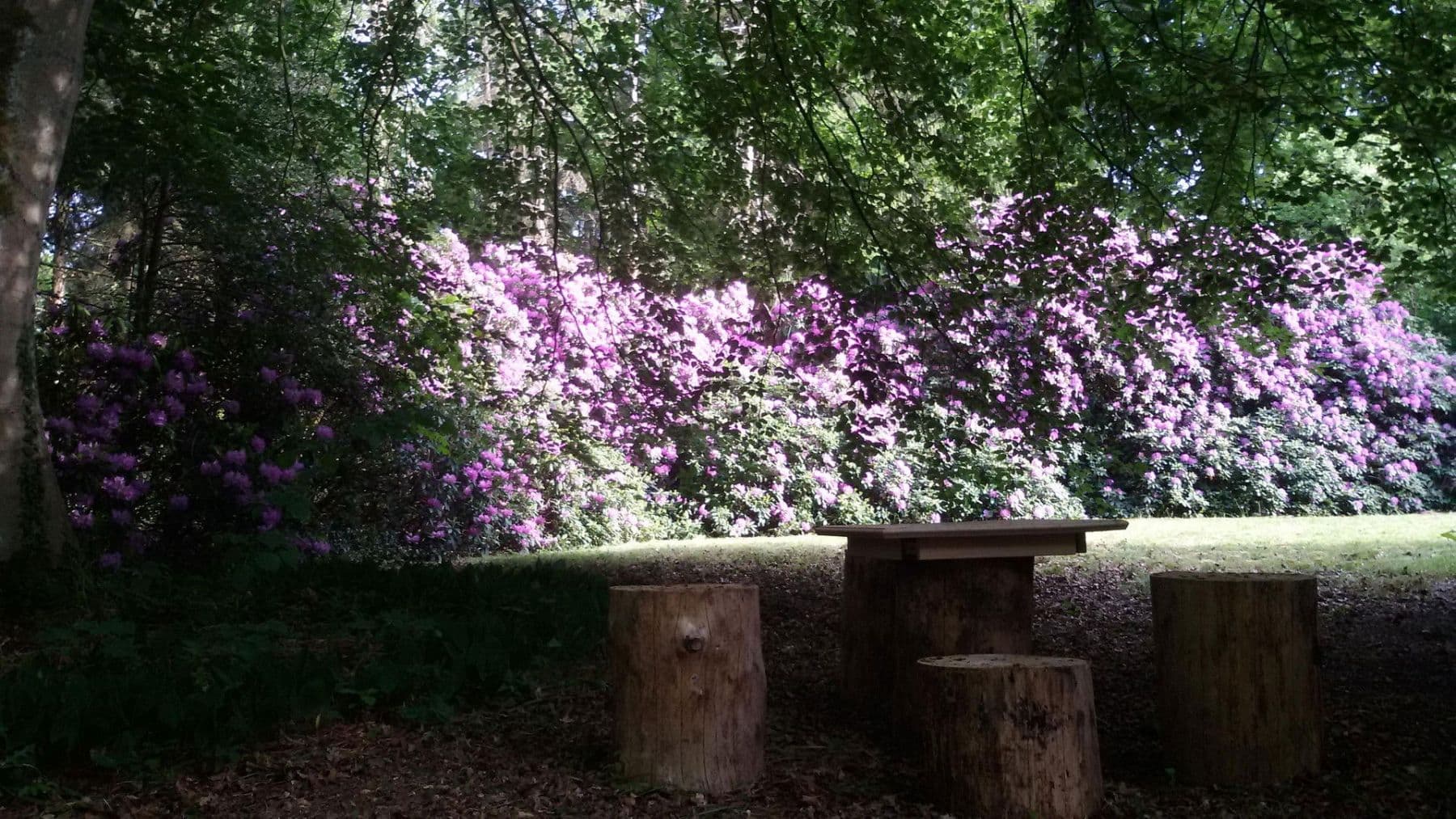 Prenájom bytu 2-izbový 82 m², Schneverdingen, Dolné Sasko Prenájom bytu 2-izbový 82 m², Schneverdingen, Dolné Sasko