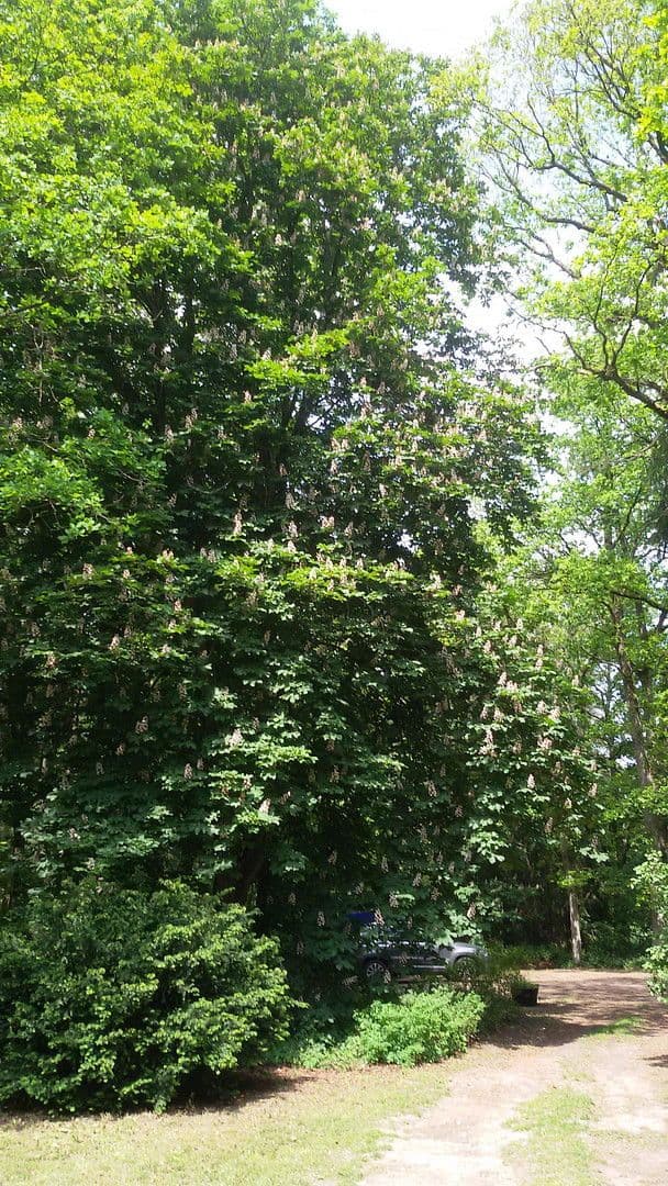 Prenájom bytu 2-izbový 82 m², Schneverdingen, Dolné Sasko Prenájom bytu 2-izbový 82 m², Schneverdingen, Dolné Sasko