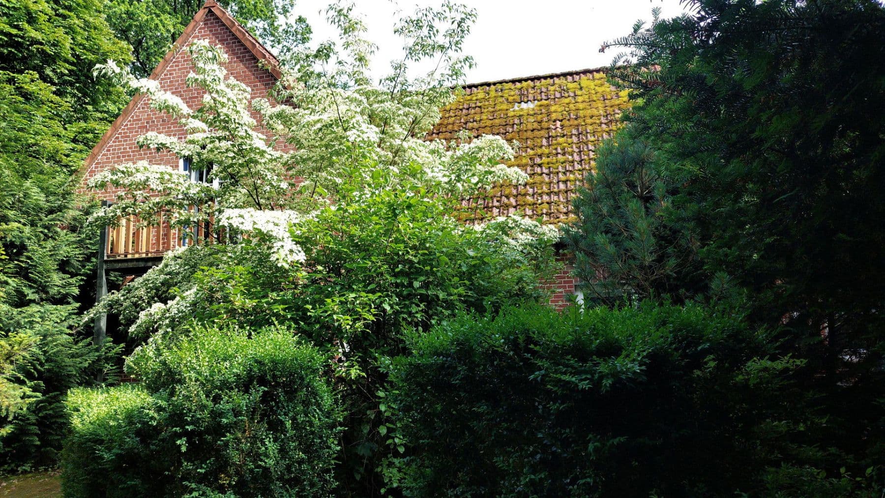 Prenájom bytu 2-izbový 82 m², Schneverdingen, Dolné Sasko Prenájom bytu 2-izbový 82 m², Schneverdingen, Dolné Sasko