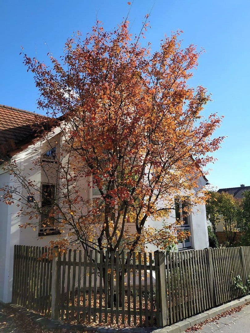 Predaj domu 300 m², pozemek 971 m², Dietfurt an der Altmühl, Bavorsko Predaj domu 300 m², pozemek 971 m², Dietfurt an der Altmühl, Bavorsko