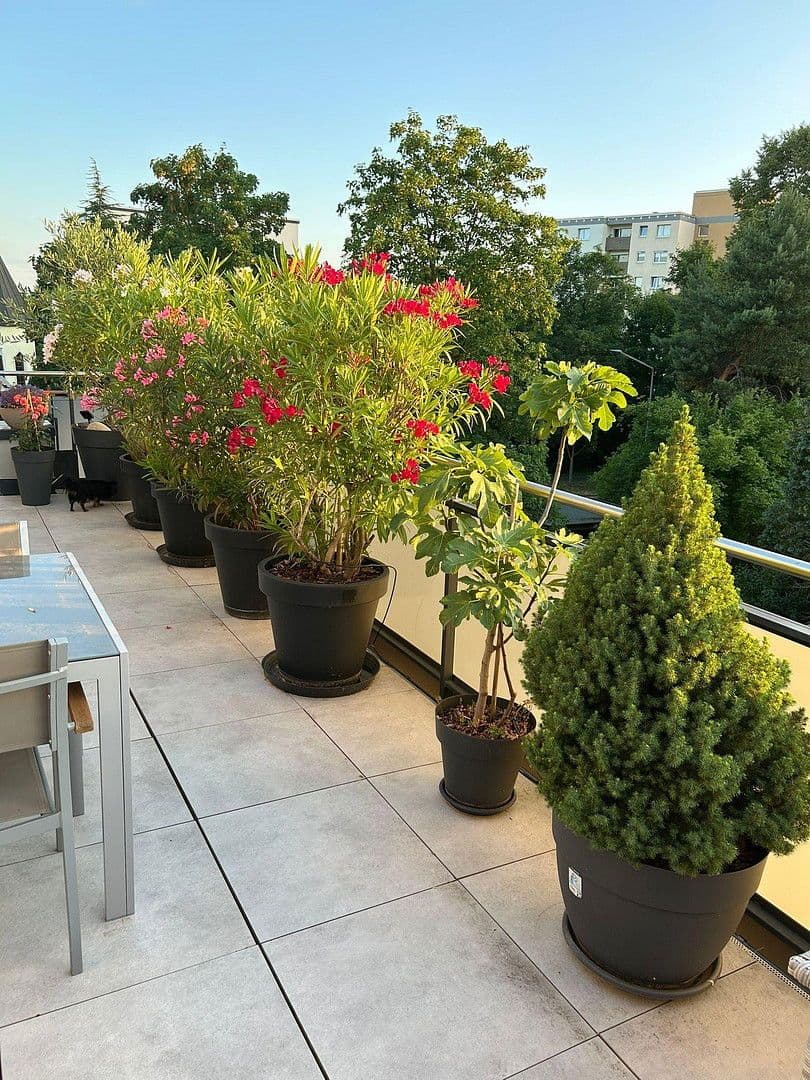 Prenájom bytu 4-izbový 106 m², Kennedystraße 96, Maintal, Hesensko Prenájom bytu 4-izbový 106 m², Kennedystraße 96, Maintal, Hesensko