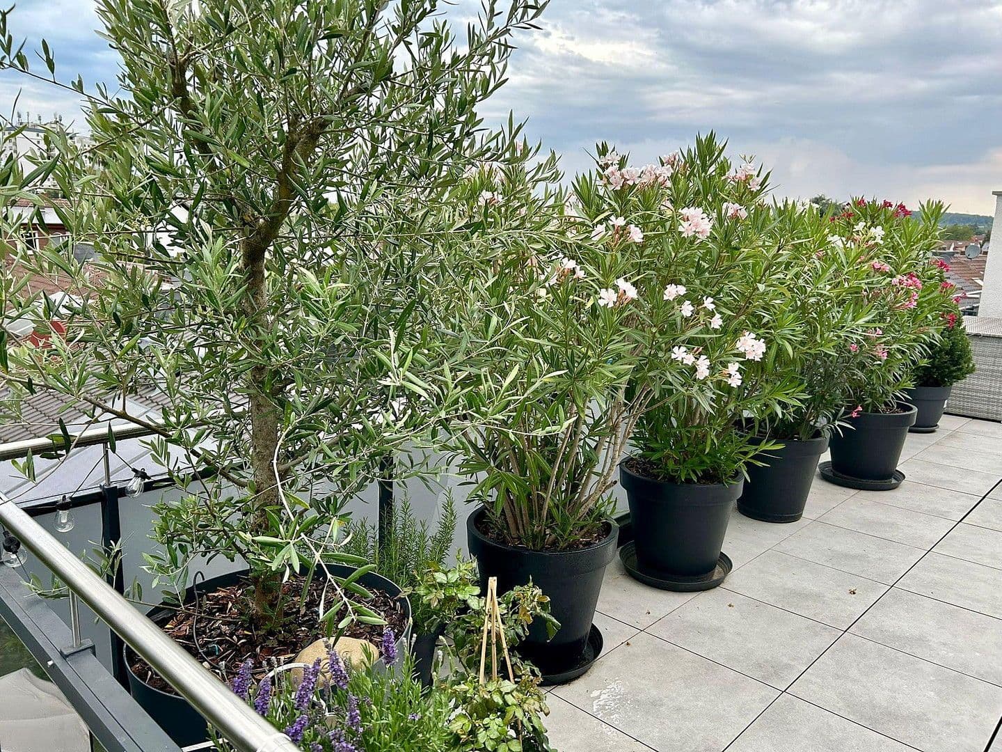 Prenájom bytu 4-izbový 106 m², Kennedystraße 96, Maintal, Hesensko Prenájom bytu 4-izbový 106 m², Kennedystraße 96, Maintal, Hesensko