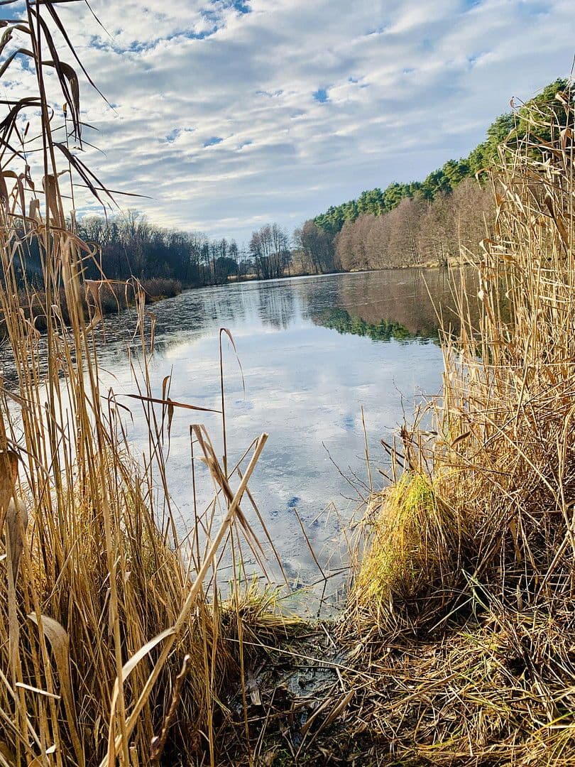 Predaj domu 107 m², pozemek 920 m², Beeskow, Brandenbursko Predaj domu 107 m², pozemek 920 m², Beeskow, Brandenbursko