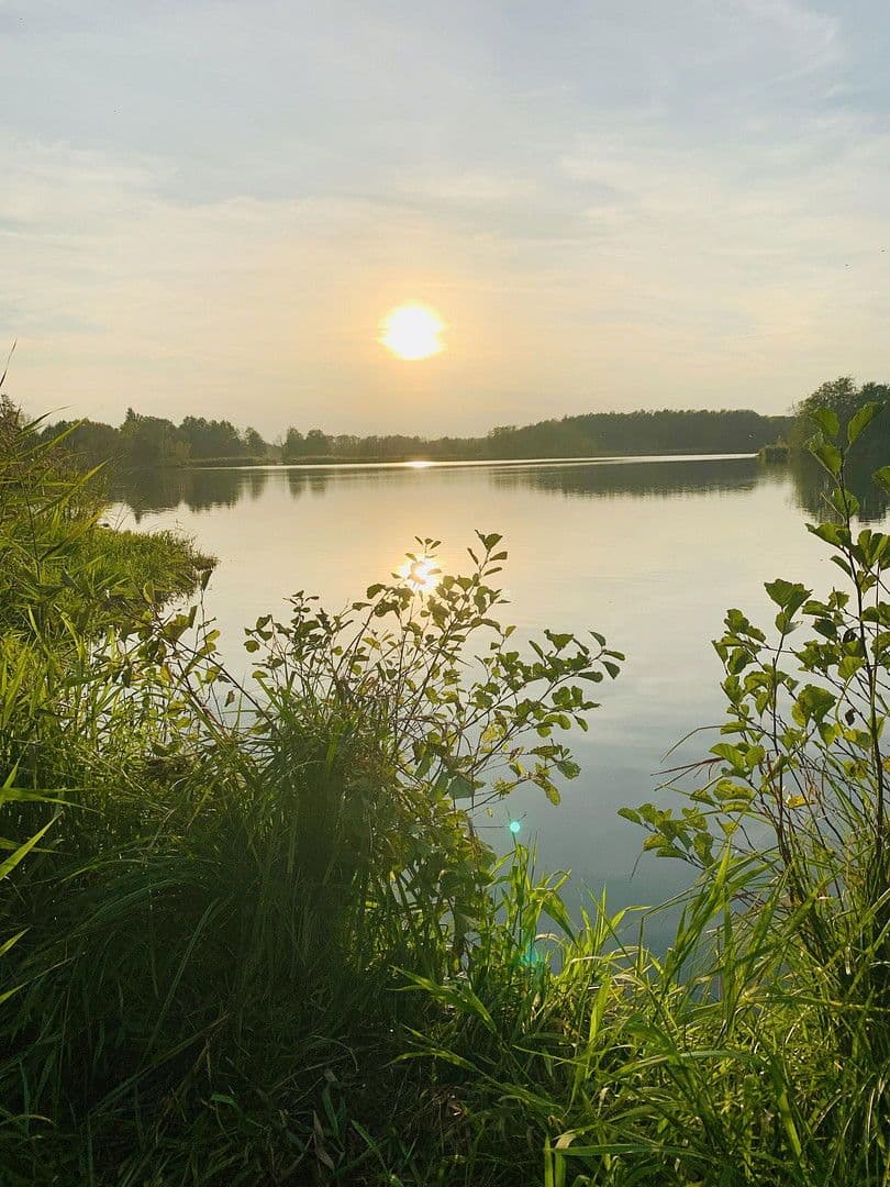 Predaj domu 107 m², pozemek 920 m², Beeskow, Brandenbursko Predaj domu 107 m², pozemek 920 m², Beeskow, Brandenbursko