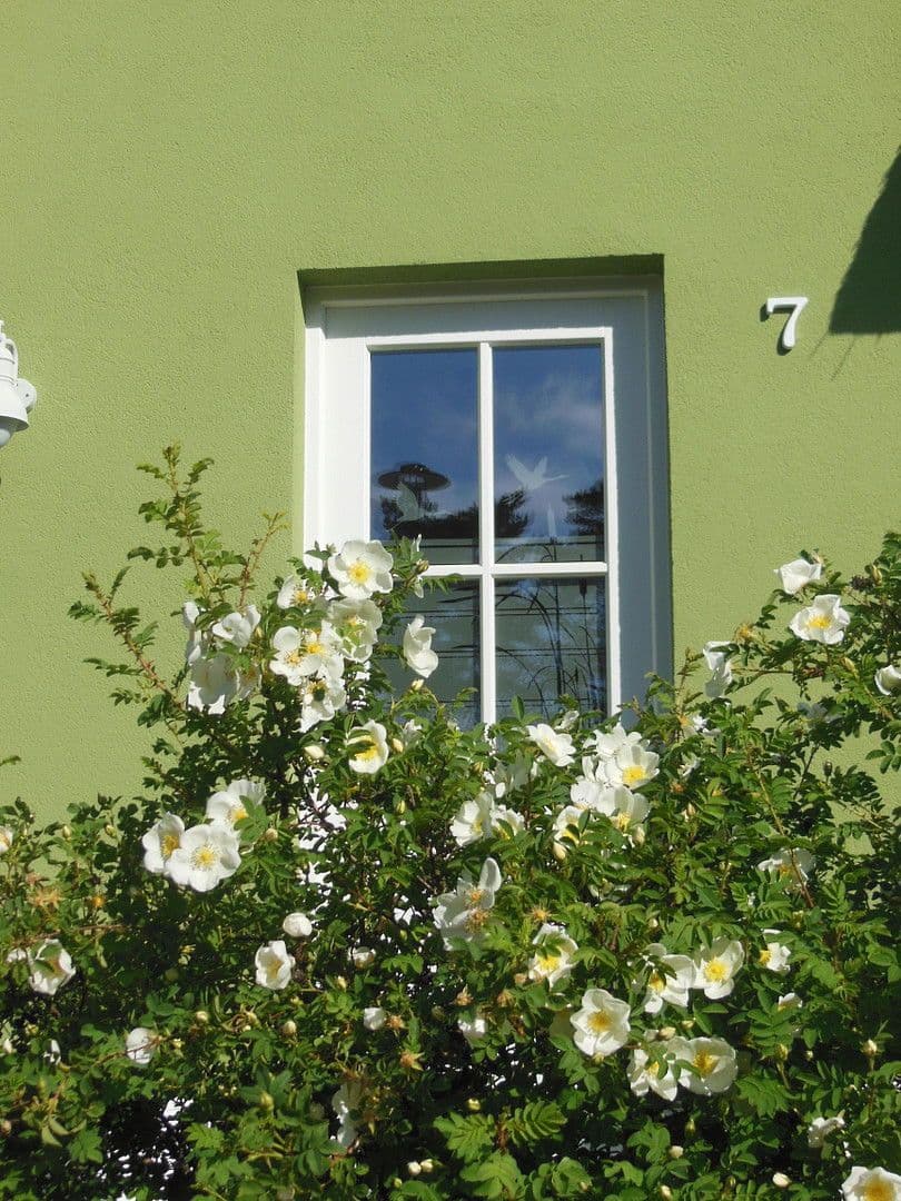 Predaj domu 107 m², pozemek 503 m², Am Dünenwald Am Dünenwald 7, Glowe, Meklenbursko-Predpomoransko Predaj domu 107 m², pozemek 503 m², Am Dünenwald Am Dünenwald 7, Glowe, Meklenbursko-Predpomoransko