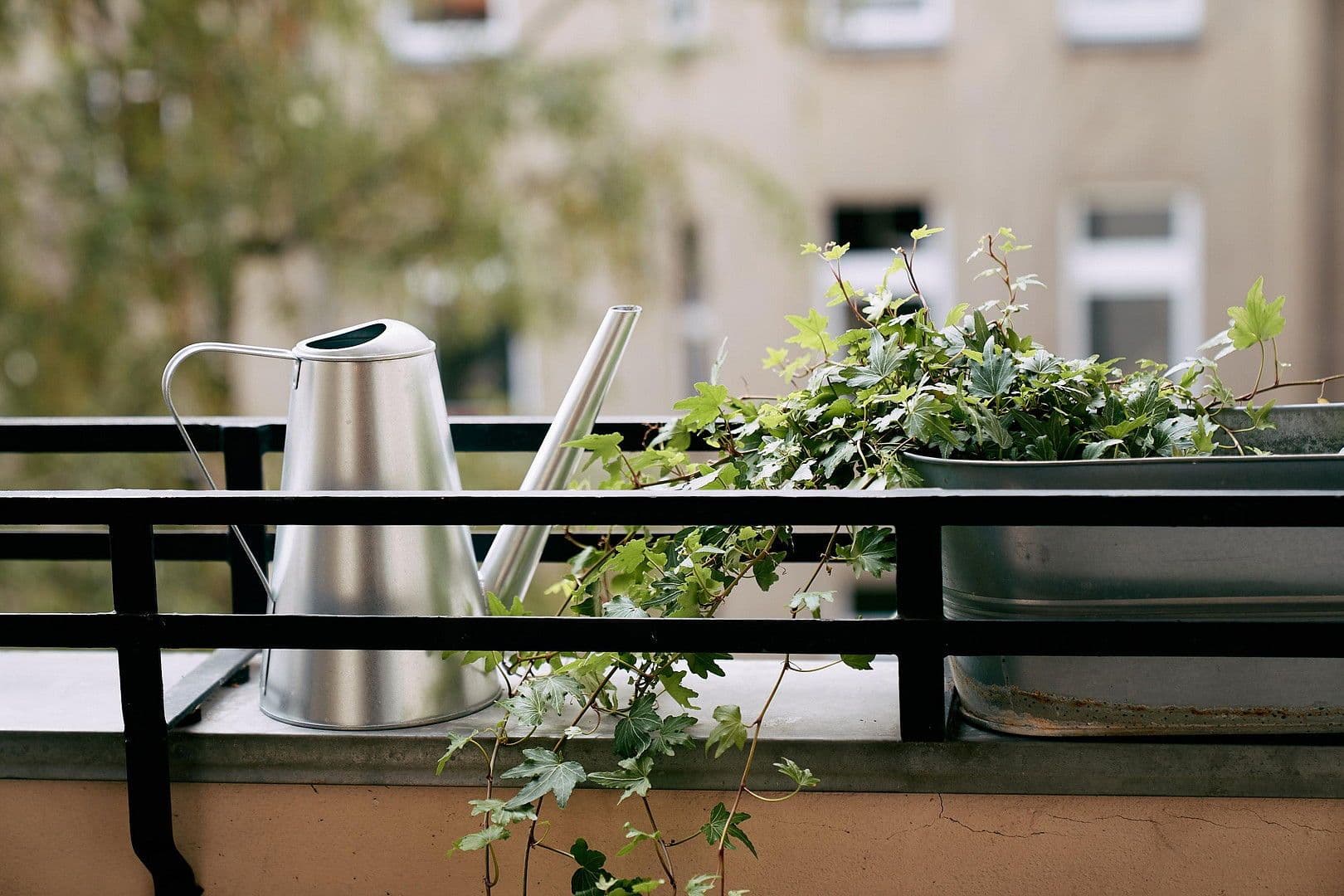 Prenájom bytu 2-izbový 49 m², Berlin, Berlín Prenájom bytu 2-izbový 49 m², Berlin, Berlín