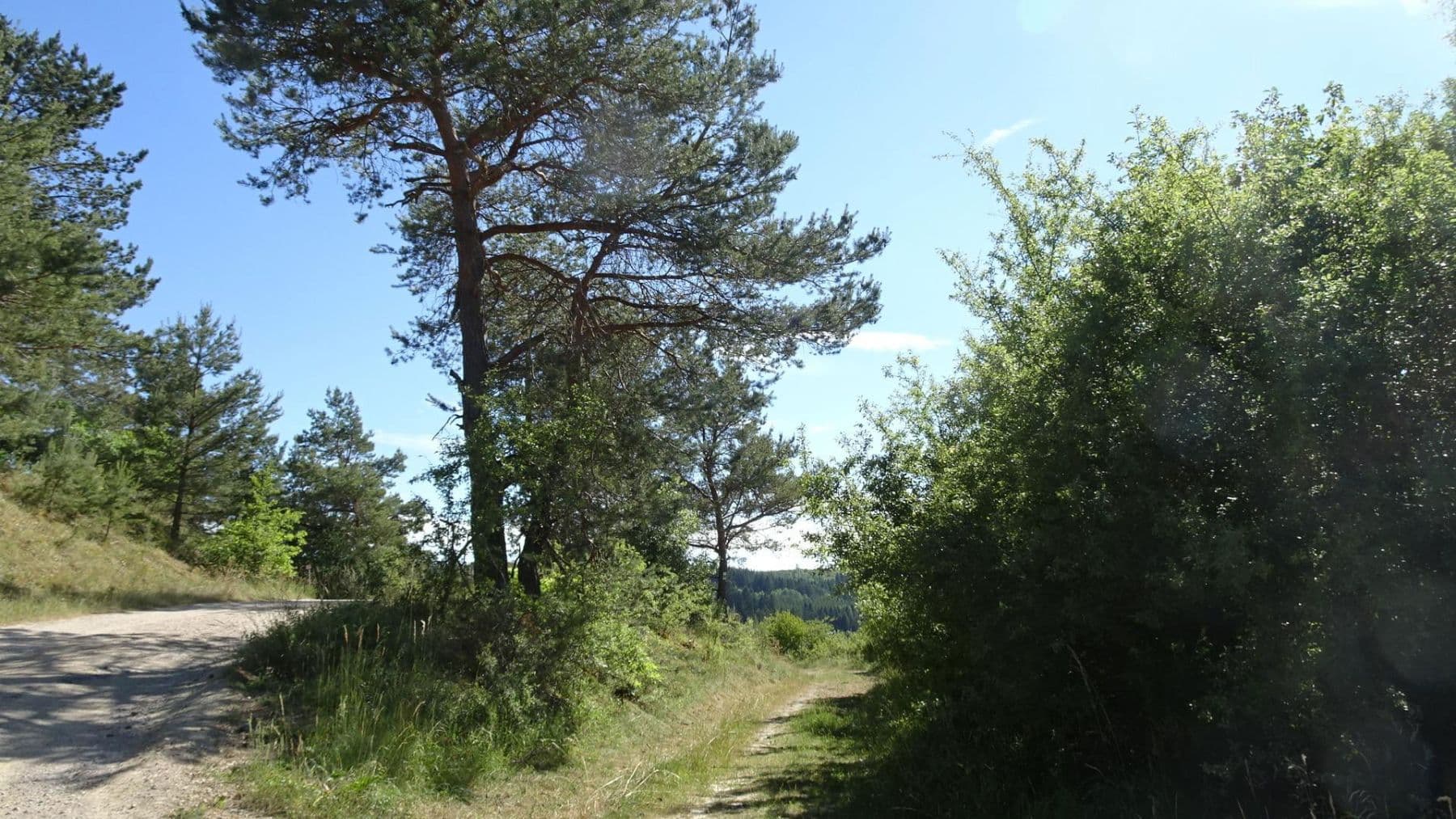 Predaj domu 50 m², pozemek 445 m², Blankenheim, Severné Porýnie - Westfálsko Predaj domu 50 m², pozemek 445 m², Blankenheim, Severné Porýnie - Westfálsko