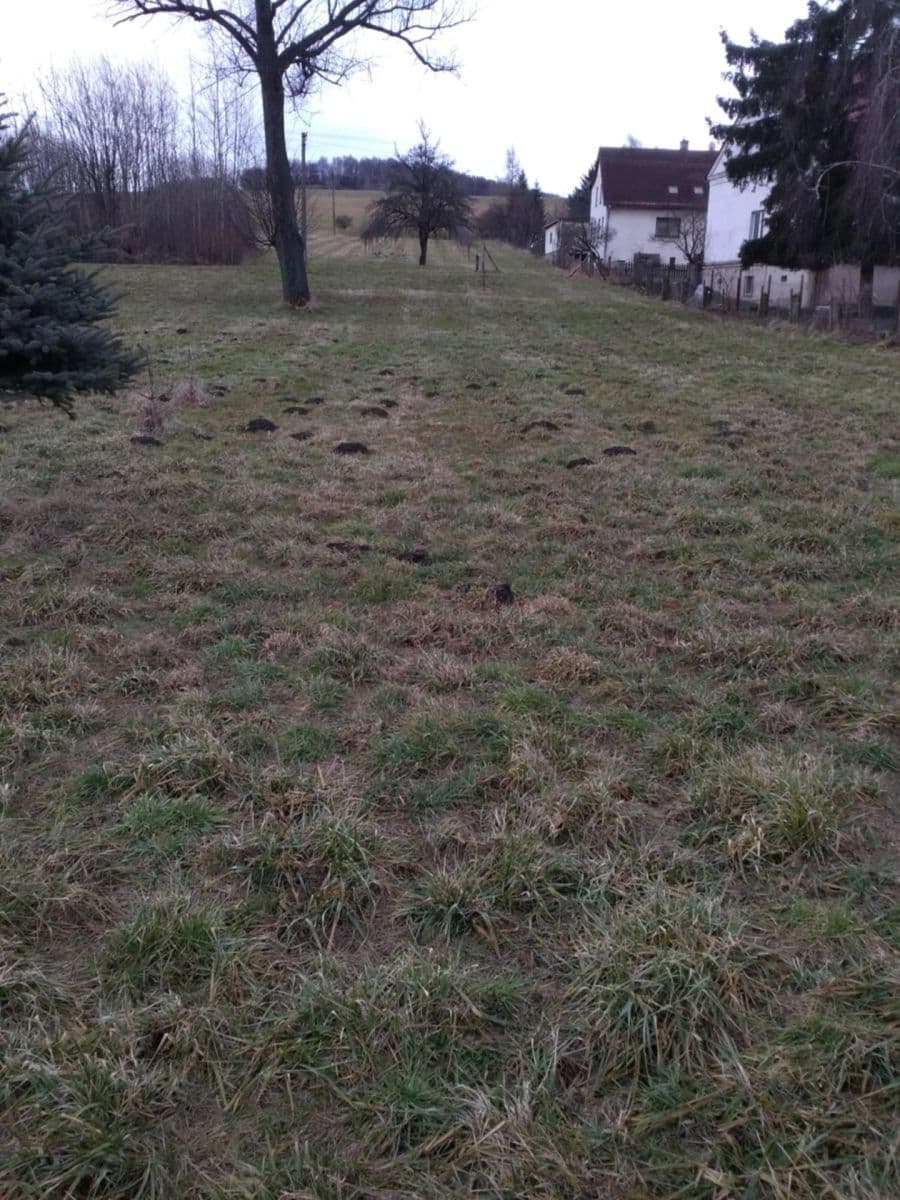 Predaj pozemku 1.428 m², Supíkovice, Olomoucký kraj Predaj pozemku 1.428 m², Supíkovice, Olomoucký kraj