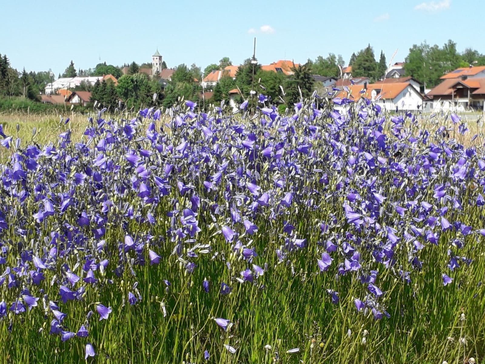 Prenájom bytu 1-izbový 38 m², Na spálenici, Stožec, Jihočeský kraj Prenájom bytu 1-izbový 38 m², Na spálenici, Stožec, Jihočeský kraj