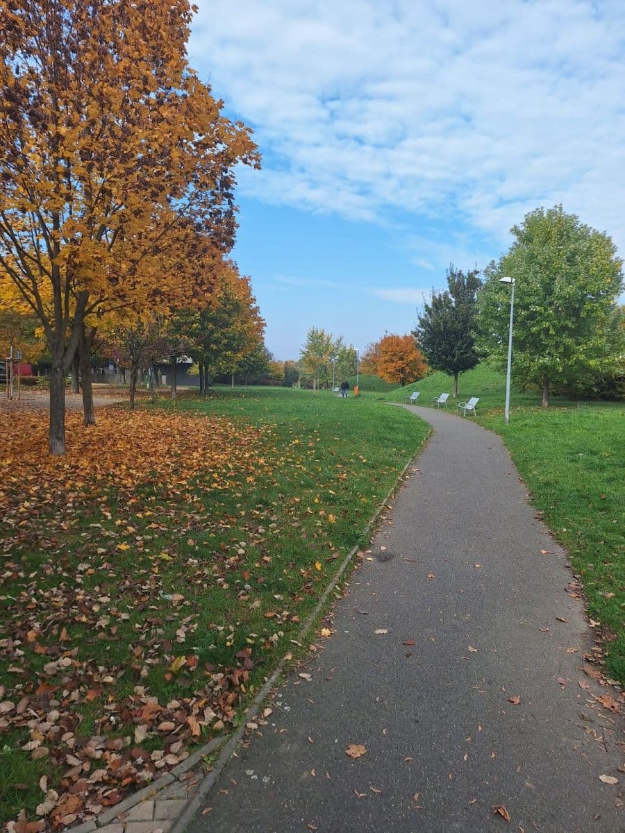 Prenájom bytu 2-izbový 52 m², Terezínská, Praha, Praha Prenájom bytu 2-izbový 52 m², Terezínská, Praha, Praha