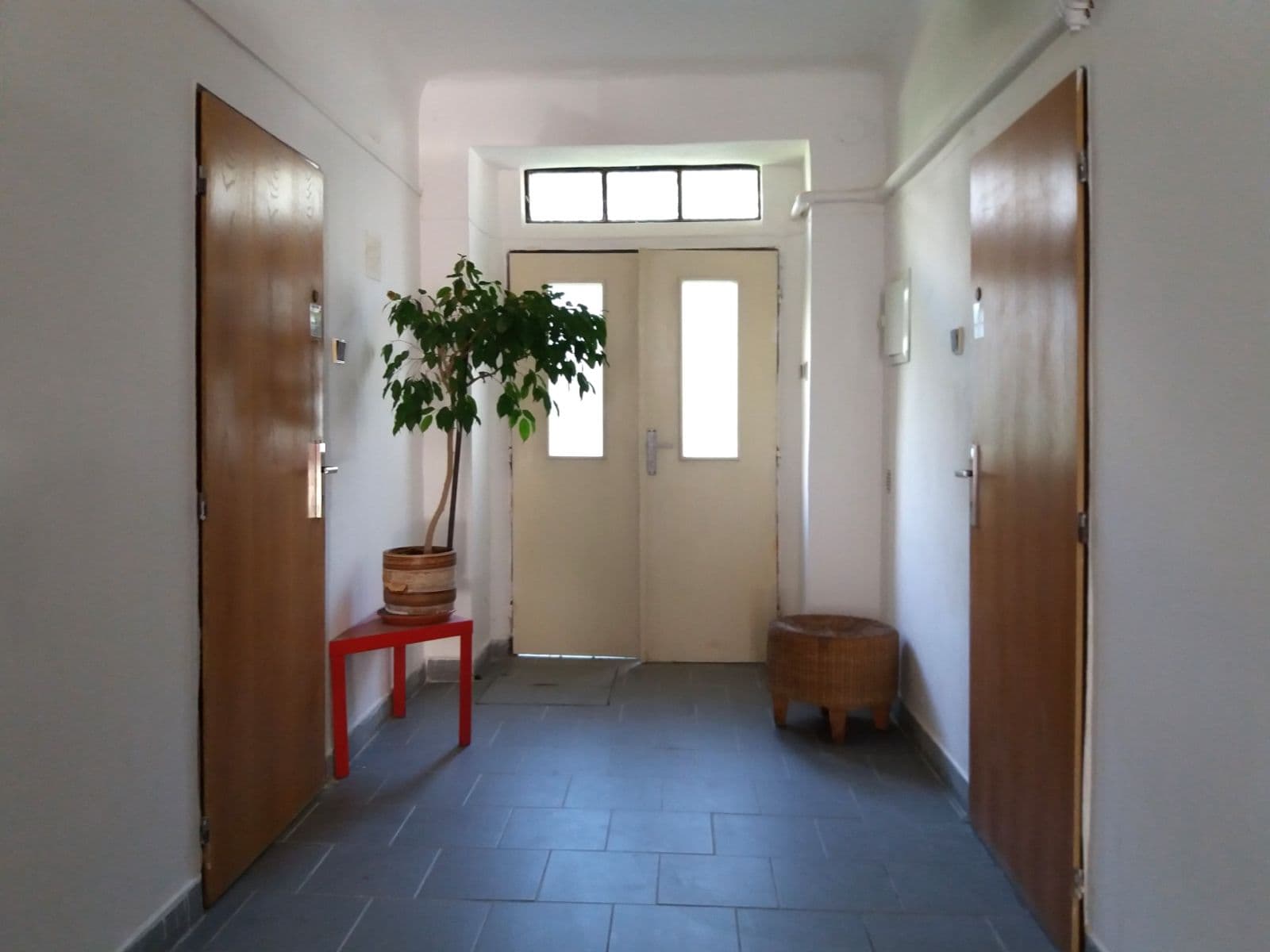 Prenájom nebytového priestoru 57 m², Čapkova, Praha, Praha Prenájom nebytového priestoru 57 m², Čapkova, Praha, Praha