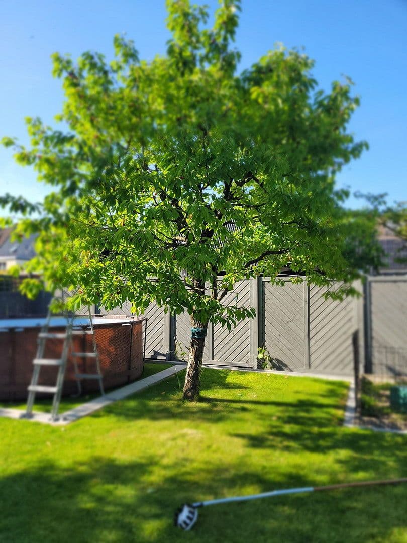 Predaj domu 168 m², pozemek 906 m², Wolfsburg, Dolné Sasko Predaj domu 168 m², pozemek 906 m², Wolfsburg, Dolné Sasko