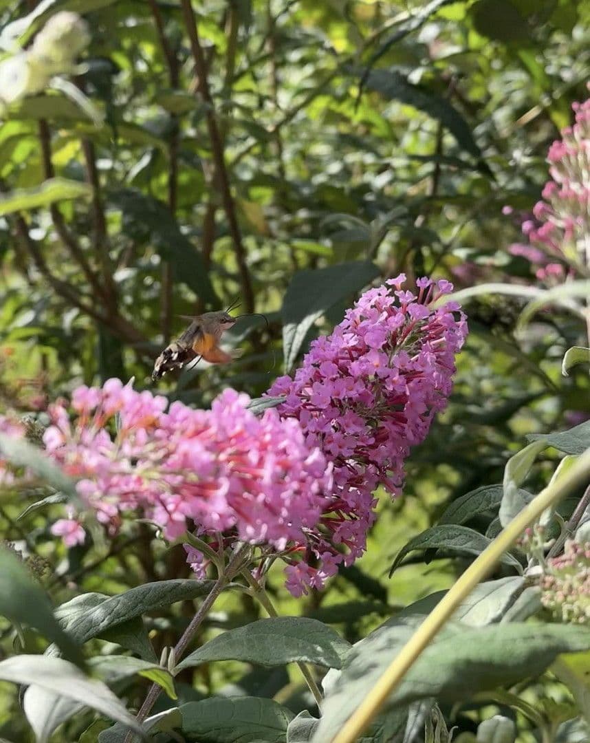 Predaj domu 131 m², pozemek 672 m², Neukirchen bei Sulzbach-Rosenberg, Bavorsko Predaj domu 131 m², pozemek 672 m², Neukirchen bei Sulzbach-Rosenberg, Bavorsko