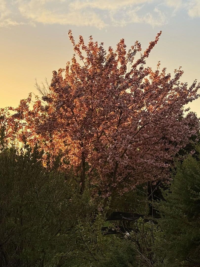 Predaj domu 131 m², pozemek 672 m², Neukirchen bei Sulzbach-Rosenberg, Bavorsko Predaj domu 131 m², pozemek 672 m², Neukirchen bei Sulzbach-Rosenberg, Bavorsko