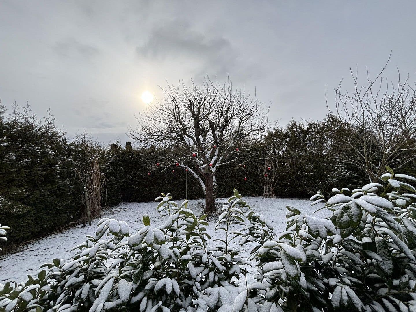 Predaj domu 86 m², pozemek 595 m², Warwerort, Šlezvicko-Holštajnsko Predaj domu 86 m², pozemek 595 m², Warwerort, Šlezvicko-Holštajnsko