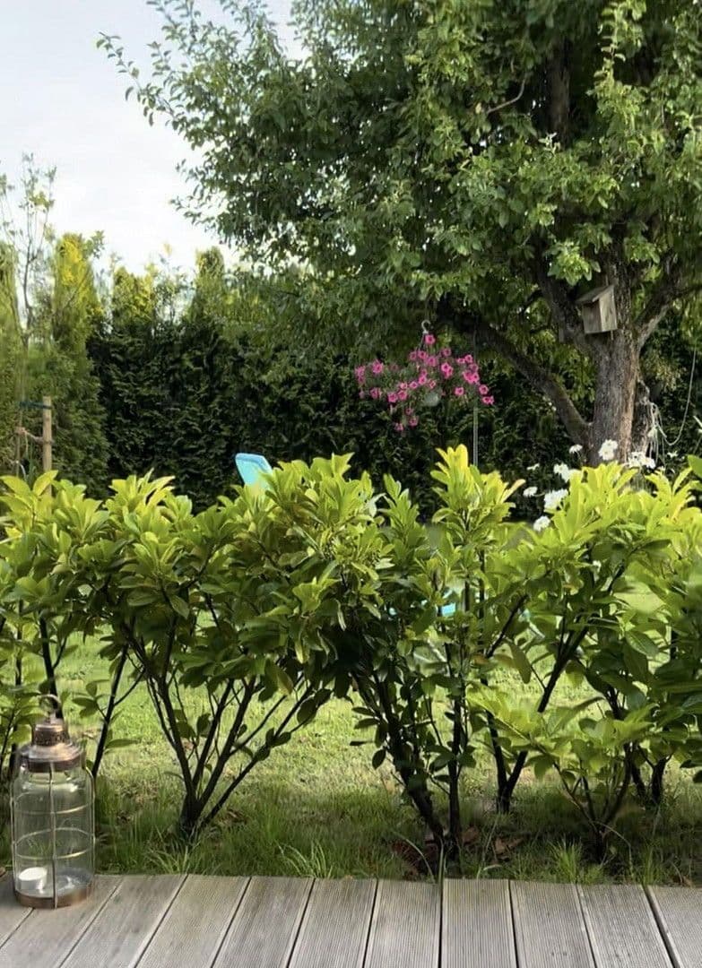 Predaj domu 86 m², pozemek 595 m², Warwerort, Šlezvicko-Holštajnsko Predaj domu 86 m², pozemek 595 m², Warwerort, Šlezvicko-Holštajnsko