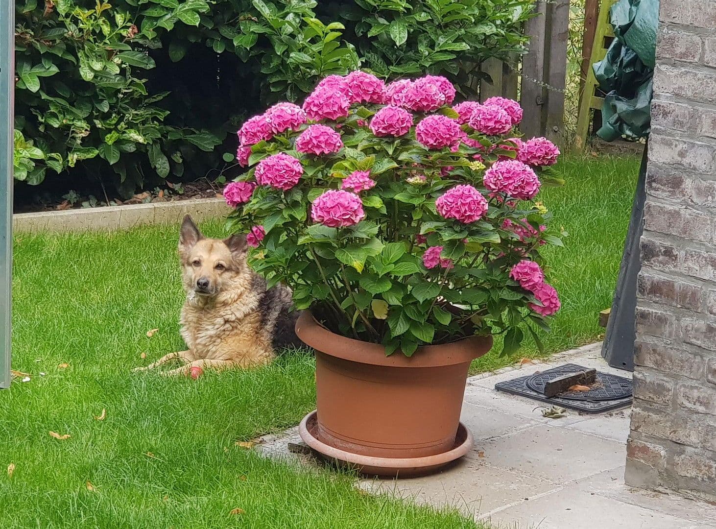 Predaj domu 126 m², pozemek 270 m², Rheinberg, Severné Porýnie - Westfálsko Predaj domu 126 m², pozemek 270 m², Rheinberg, Severné Porýnie - Westfálsko