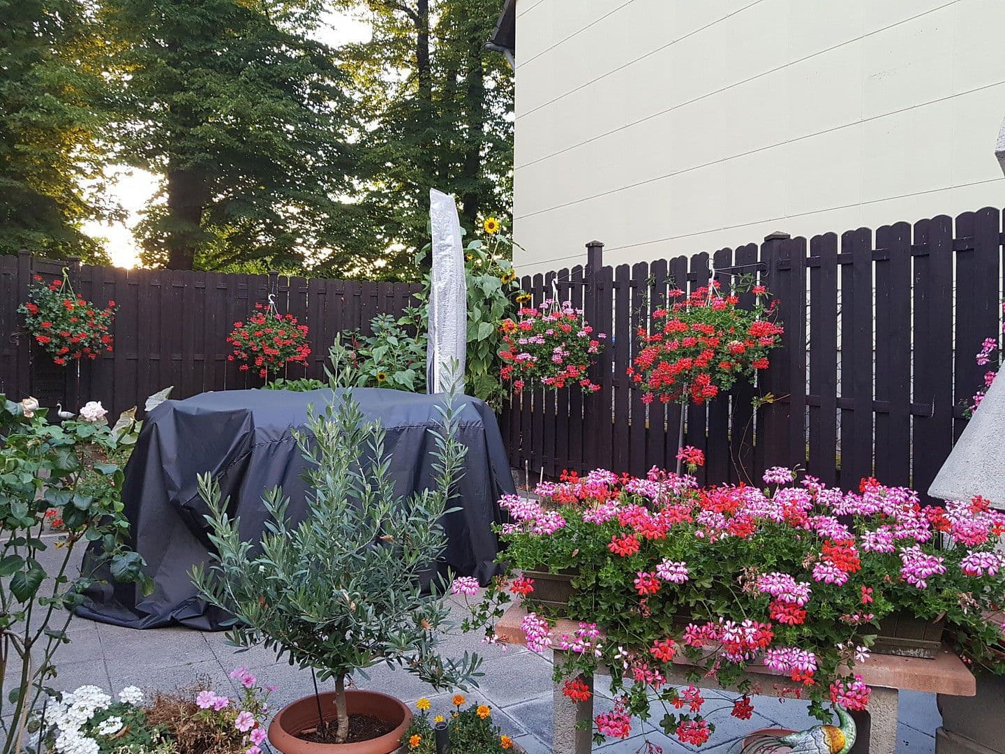 Predaj domu 126 m², pozemek 270 m², Rheinberg, Severné Porýnie - Westfálsko Predaj domu 126 m², pozemek 270 m², Rheinberg, Severné Porýnie - Westfálsko