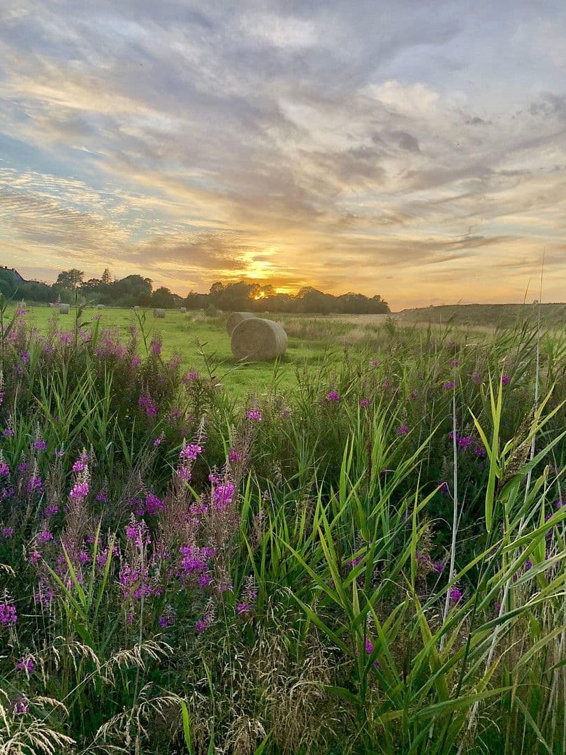 Predaj domu 125 m², pozemek 387 m², Nordosterdeich 74, Neukirchen, Šlezvicko-Holštajnsko Predaj domu 125 m², pozemek 387 m², Nordosterdeich 74, Neukirchen, Šlezvicko-Holštajnsko