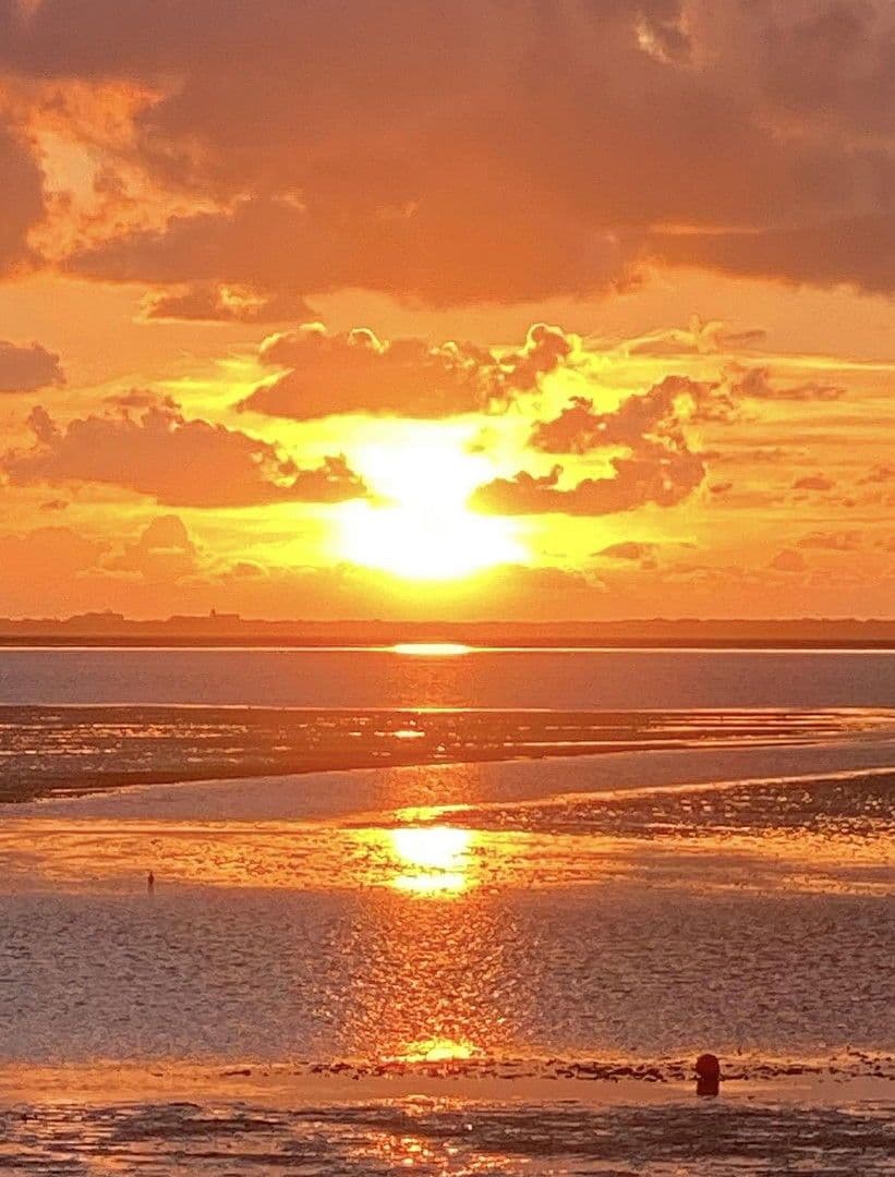 Predaj bytu 3-izbový 34 m², Muschelweg 8A, Norden, Dolné Sasko Predaj bytu 3-izbový 34 m², Muschelweg 8A, Norden, Dolné Sasko