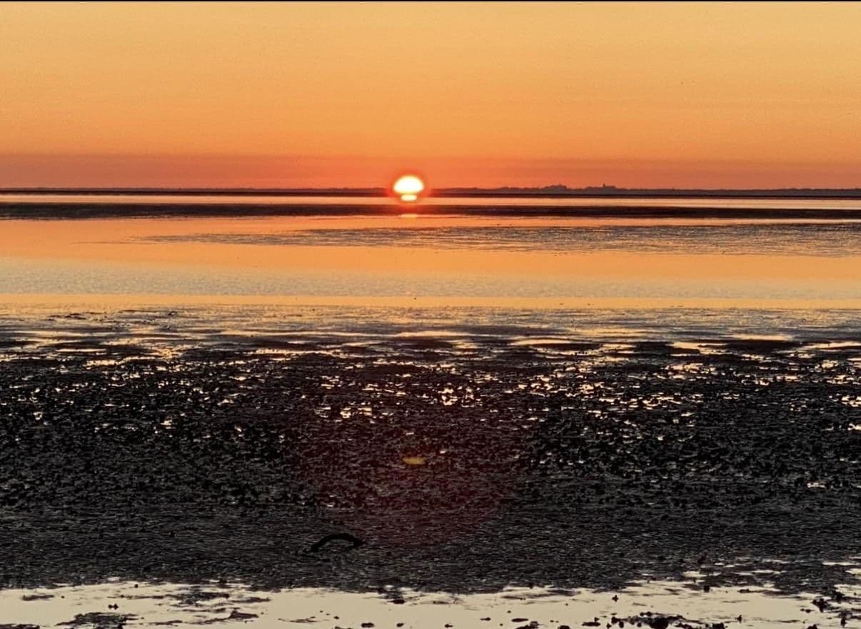 Predaj bytu 3-izbový 34 m², Muschelweg 8A, Norden, Dolné Sasko Predaj bytu 3-izbový 34 m², Muschelweg 8A, Norden, Dolné Sasko