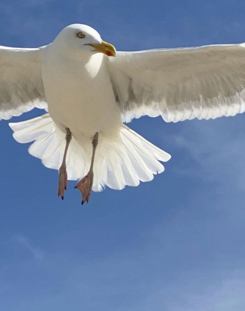 Predaj bytu 3-izbový 34 m², Muschelweg 8A, Norden, Dolné Sasko Predaj bytu 3-izbový 34 m², Muschelweg 8A, Norden, Dolné Sasko