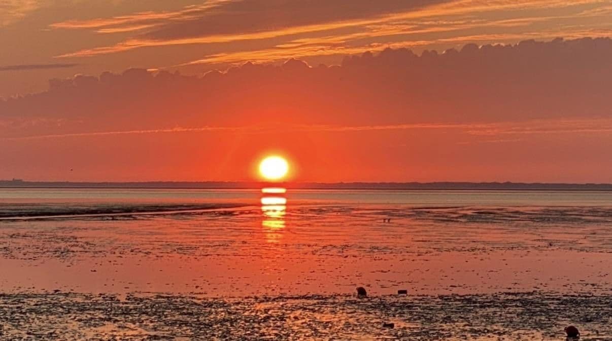 Predaj bytu 3-izbový 34 m², Muschelweg 8A, Norden, Dolné Sasko Predaj bytu 3-izbový 34 m², Muschelweg 8A, Norden, Dolné Sasko