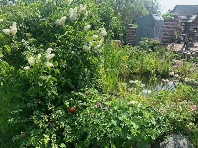 Predaj domu 200 m², pozemek 1.450 m², Dierhagen, Meklenbursko-Predpomoransko Predaj domu 200 m², pozemek 1.450 m², Dierhagen, Meklenbursko-Predpomoransko