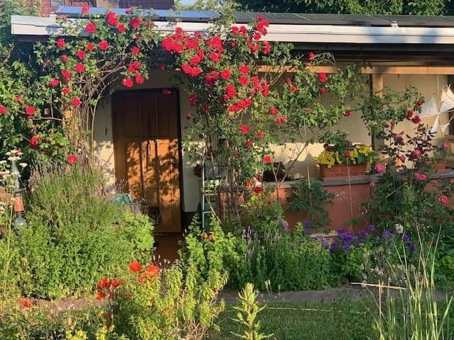 Predaj domu 200 m², pozemek 1.450 m², Dierhagen, Meklenbursko-Predpomoransko Predaj domu 200 m², pozemek 1.450 m², Dierhagen, Meklenbursko-Predpomoransko