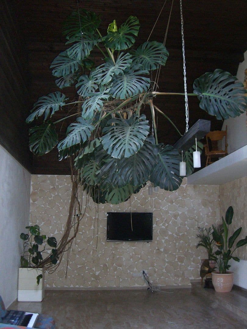 Predaj domu 202 m², pozemek 680 m², Egmating, Bavorsko Predaj domu 202 m², pozemek 680 m², Egmating, Bavorsko