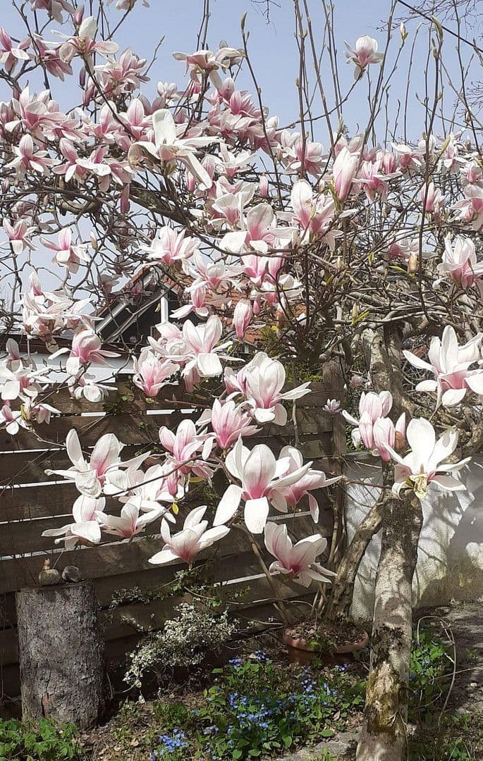 Predaj domu 202 m², pozemek 680 m², Egmating, Bavorsko Predaj domu 202 m², pozemek 680 m², Egmating, Bavorsko