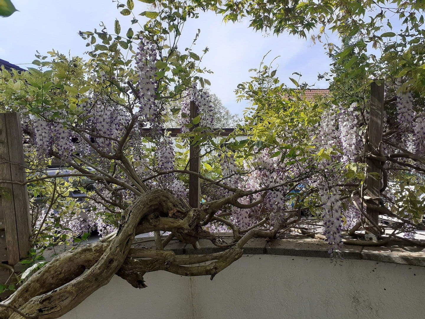 Predaj domu 202 m², pozemek 680 m², Egmating, Bavorsko Predaj domu 202 m², pozemek 680 m², Egmating, Bavorsko