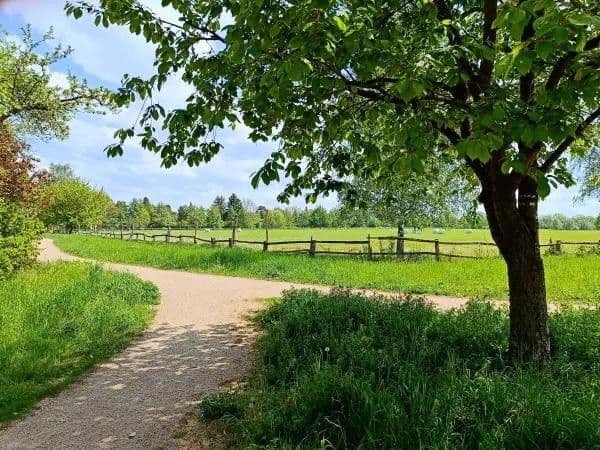 Predaj domu 125 m², pozemek 400 m², Berlin, Berlín Predaj domu 125 m², pozemek 400 m², Berlin, Berlín